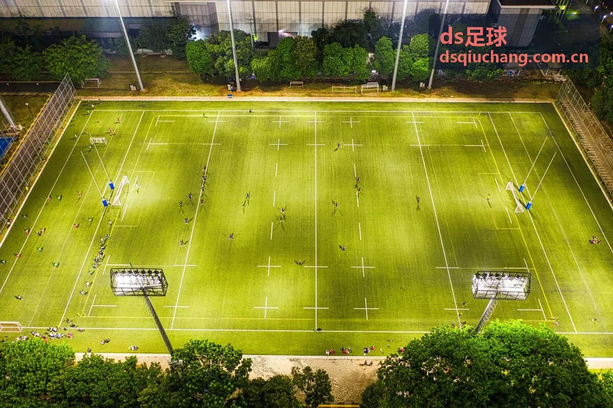 ds足球球队资料板块