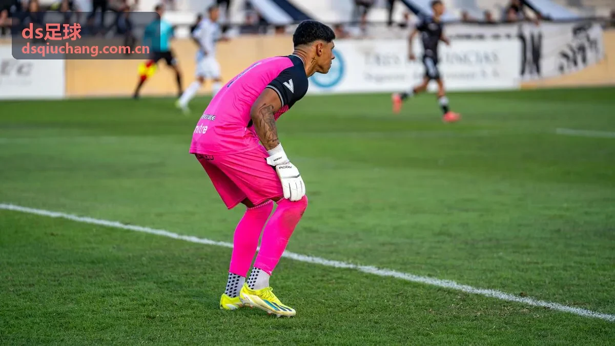 ds足球南美解放者杯弗拉门戈对阵河床赛事数据配图
